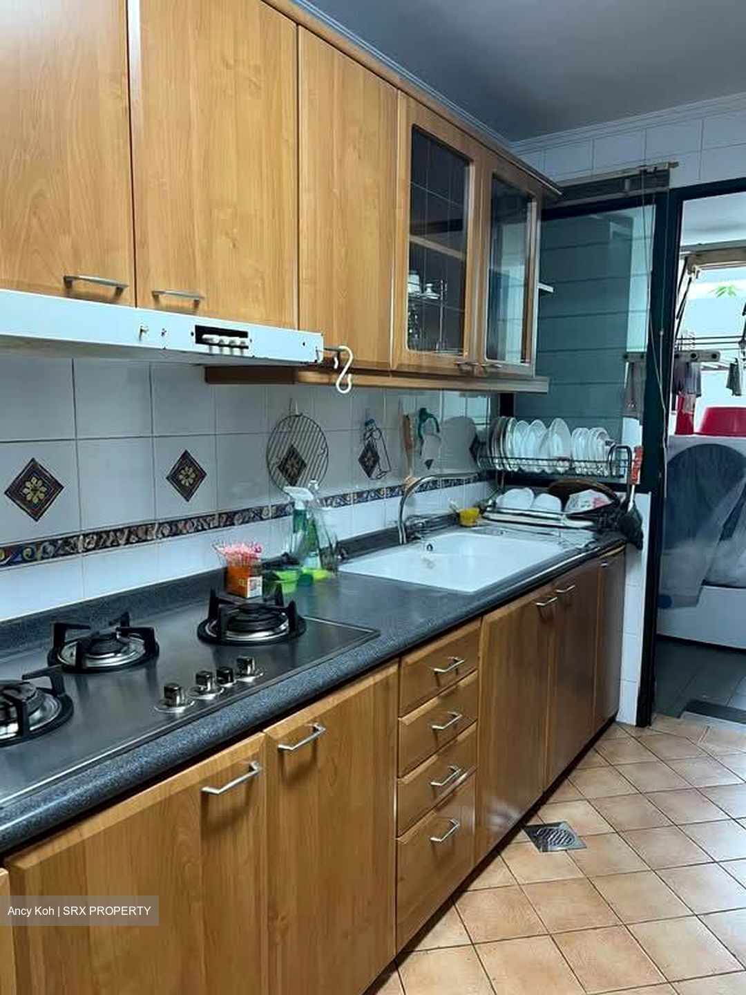 Parc Palais (D21), Condominium #546307331